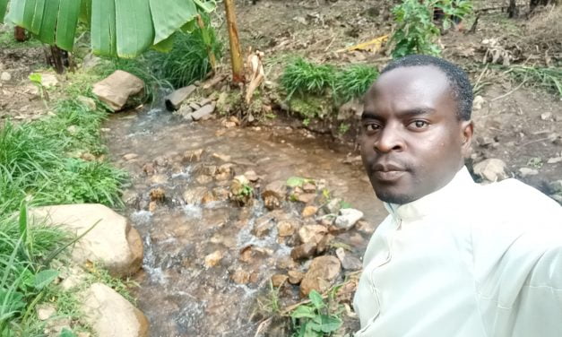 Open Shallow Wells