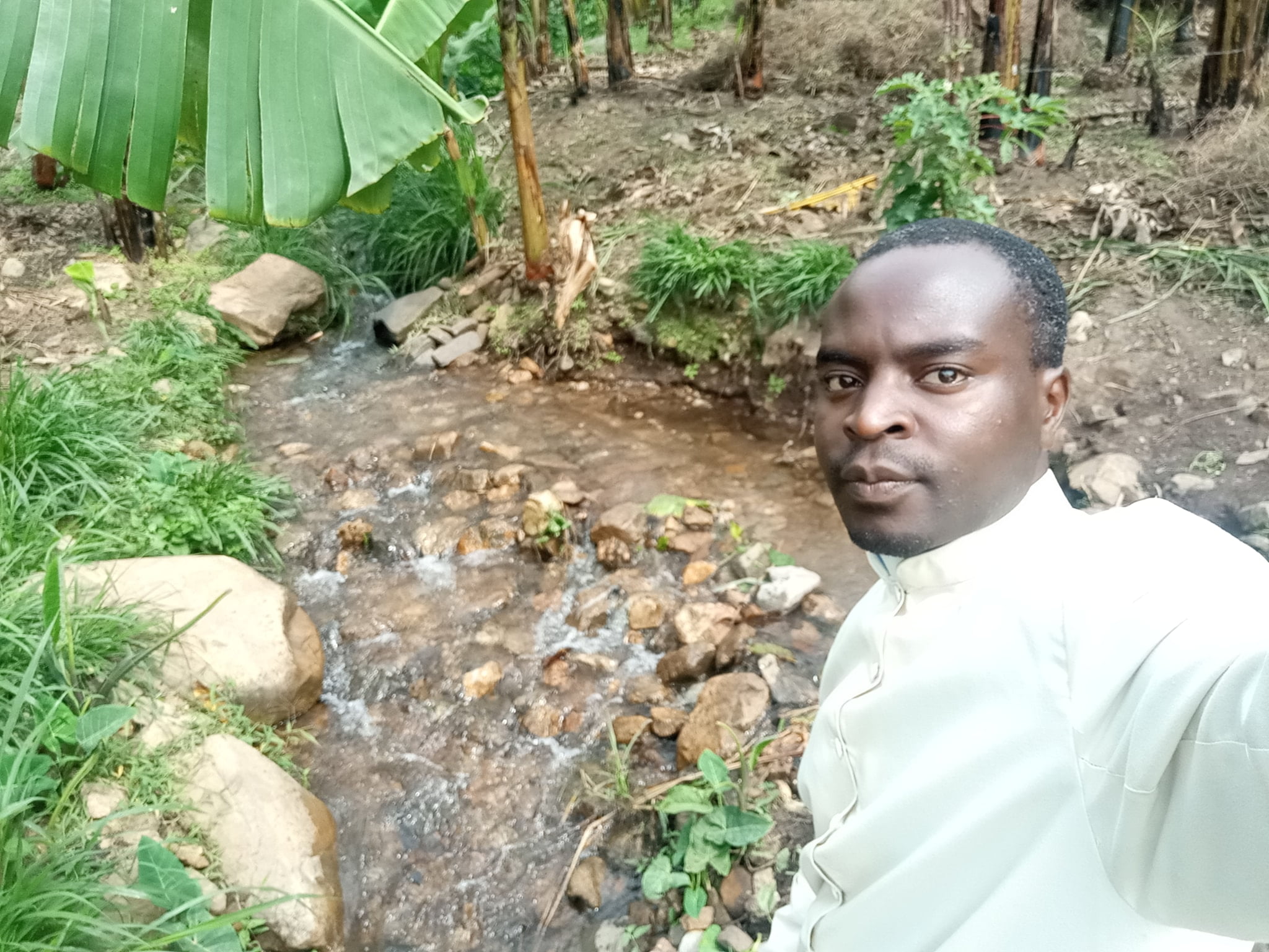 stream