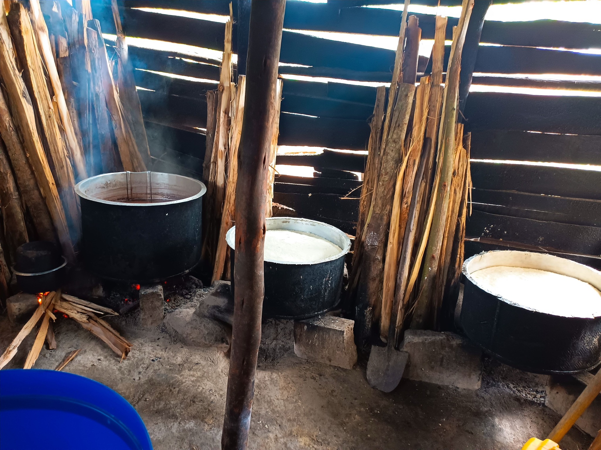 462747366_8958702164162584_3839656080635125224_n